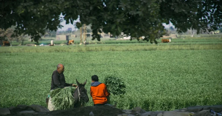 Featured image for 14 Best Games Like Stardew Valley to Play in 2025